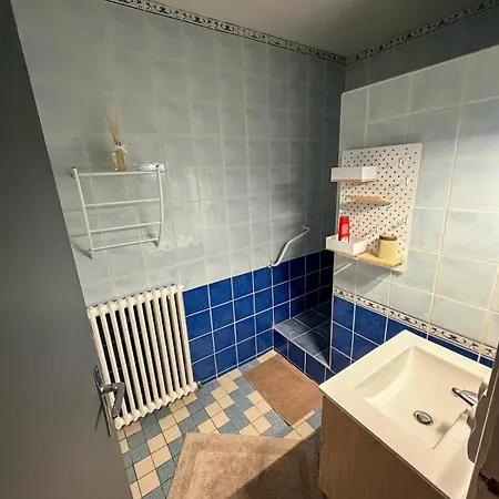 아파트 Les Fleurs De La Cite - T3 Parking Prive Et Terrasse Jardin Prive 카르카손