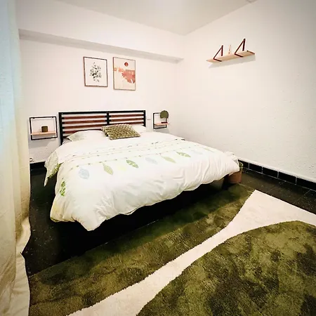 Les Fleurs De La Cite - T3 Parking Prive Et Terrasse Jardin Prive * Carcassonne