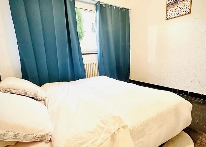 Les Fleurs De La Cite - T3 Parking Prive Et Terrasse Jardin Prive * Καρκασόν